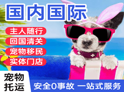 格尔木机场快递国际宠物托运 【国